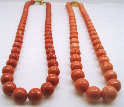 Corals