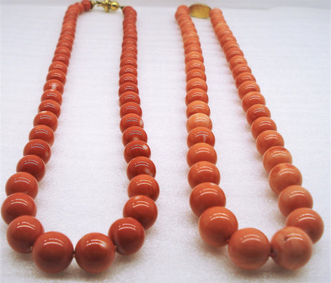 Corals